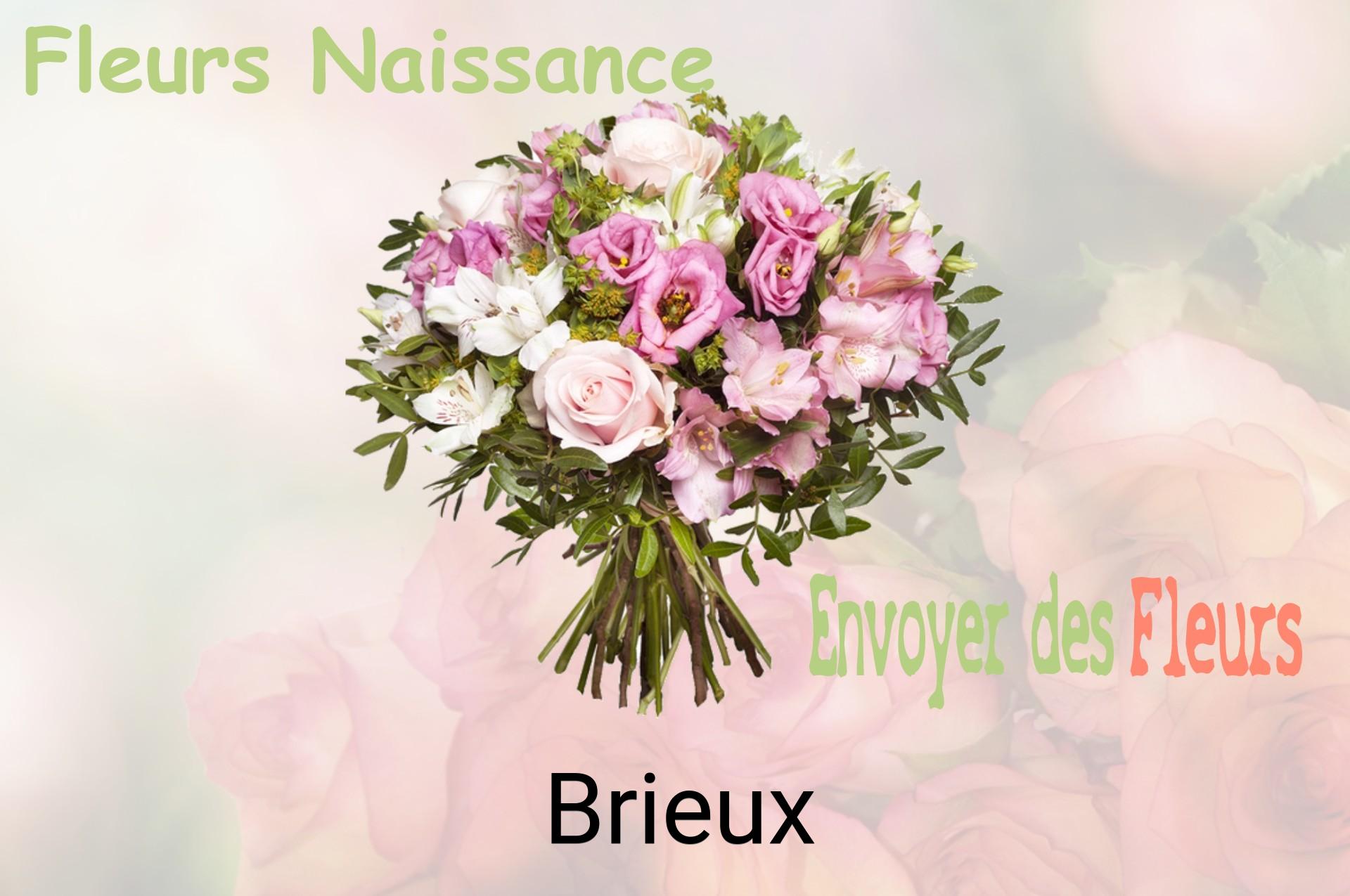 Bouquet de fleurs de naissance livré à Brieux