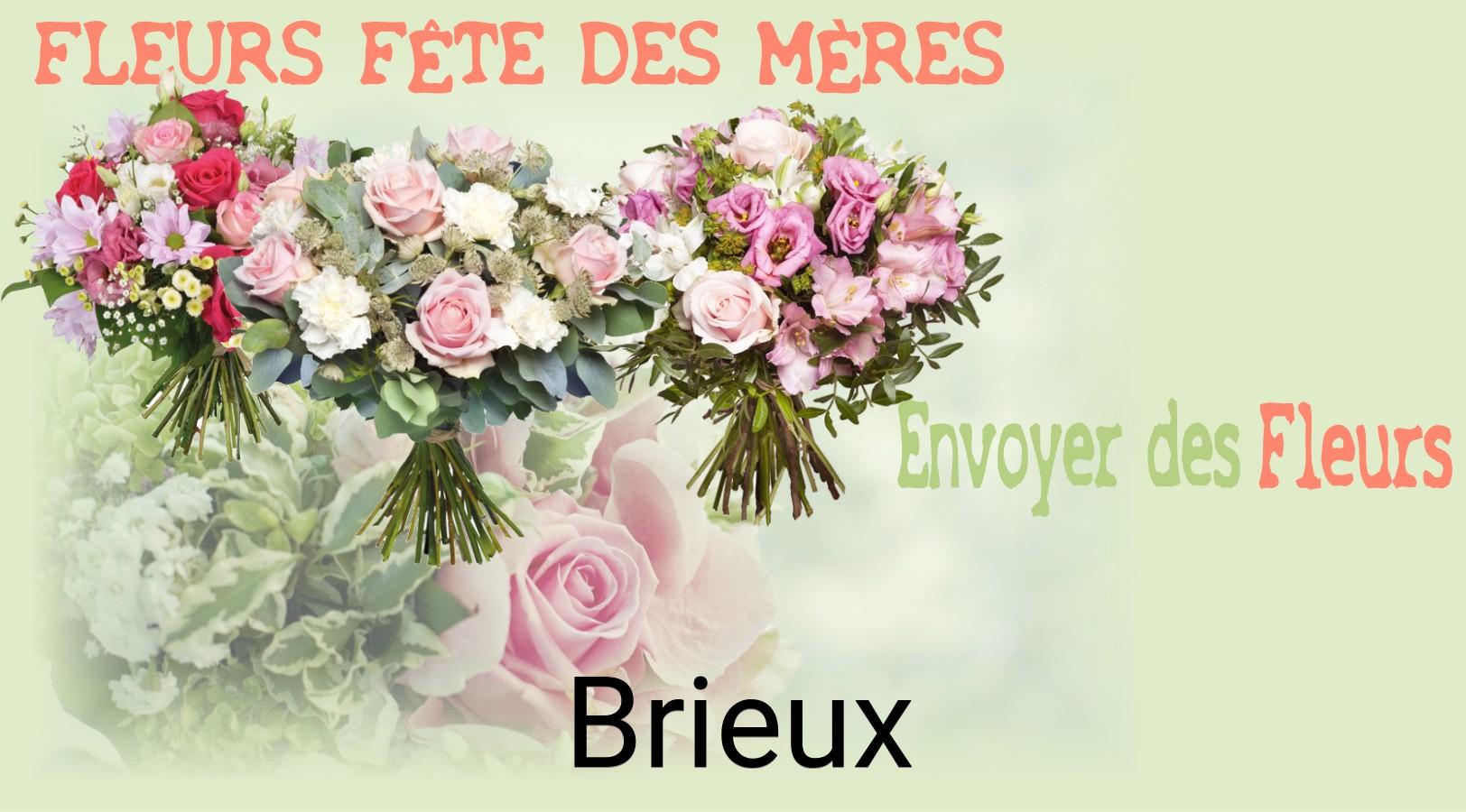 Bouquet de Fête des Mères livré à Brieux
